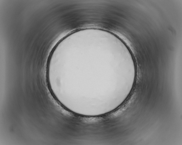 X0000111780949200908201107