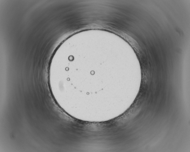 X0000111780950200908201107
