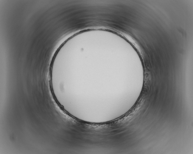 X0000111780951200908201107
