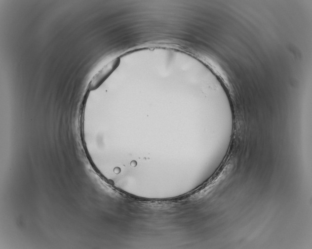 X0000111780952200908201107