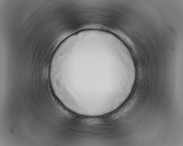 X0000111780953200908201107