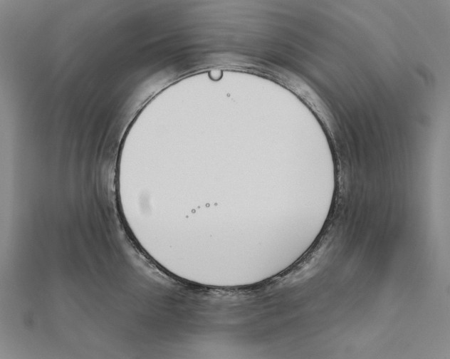 X0000111780954200908201107