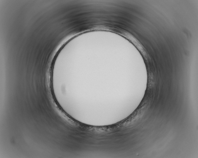 X0000111780955200908201107