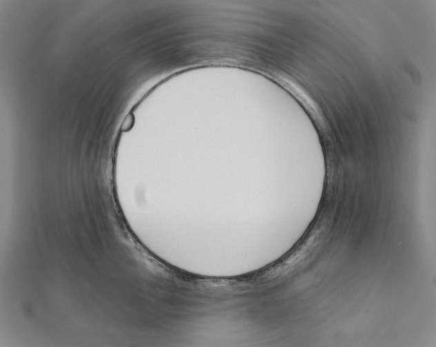 X0000111780956200908201107