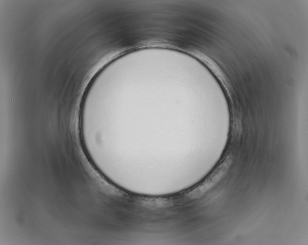 X0000111780957200908201107