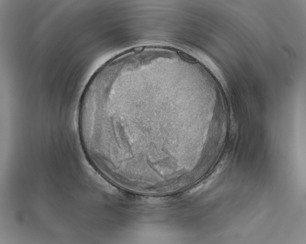 X0000111780958200908201107