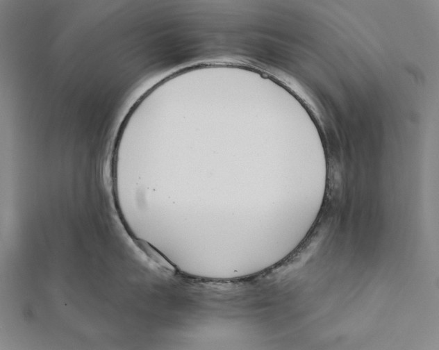 X0000111780959200908201107
