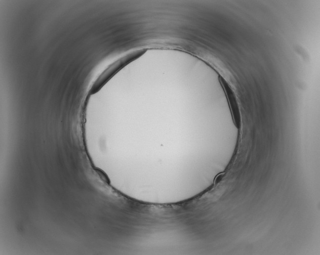 X0000111780960200908201107