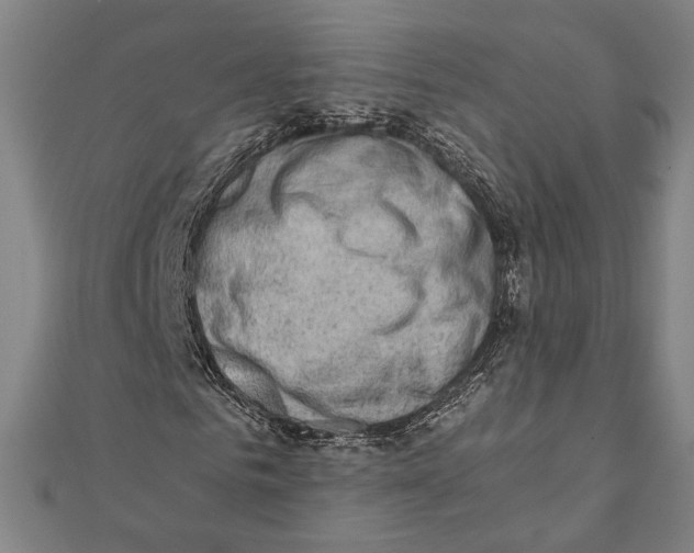 X0000111780961200908201107