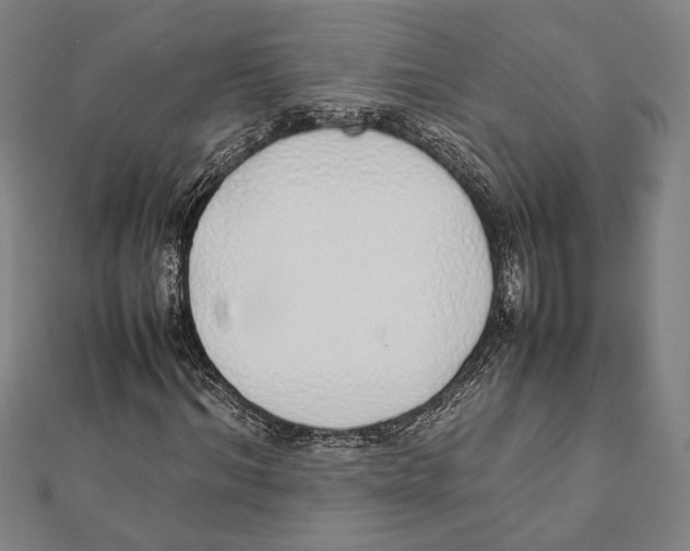 X0000111780964200908201107
