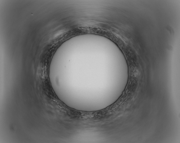 X0000111780965200908201107