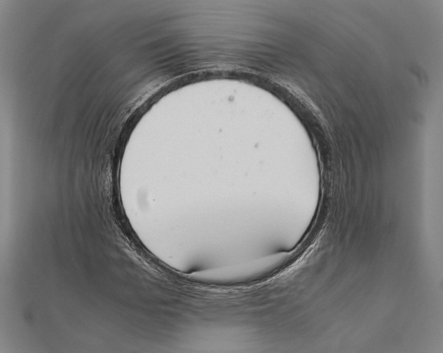 X0000111780969200908201106