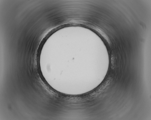 X0000111780972200908201106
