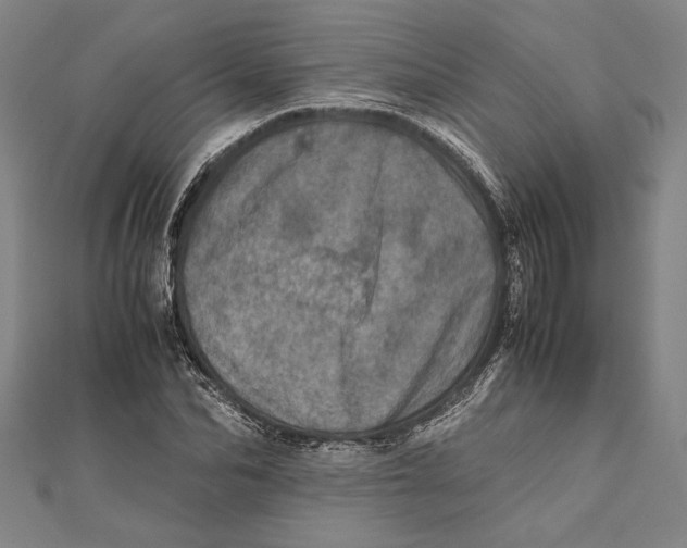 X0000111780974200908201106