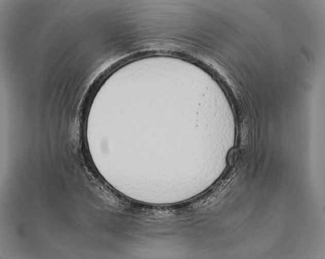 X0000111780975200908201106