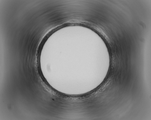 X0000111780976200908201106