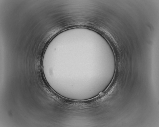 X0000111780977200908201106