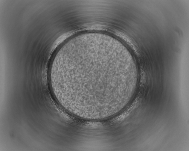 X0000111780978200908201106