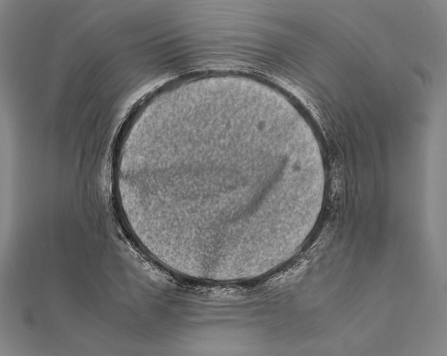 X0000111780979200908201106