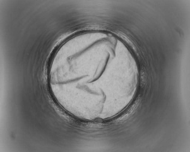 X0000111780981200908201106