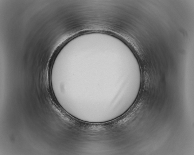 X0000111780982200908201106
