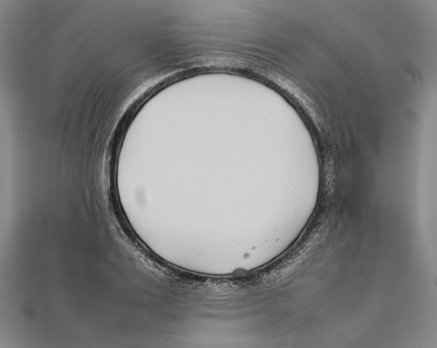 X0000111780983200908201106
