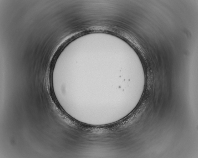 X0000111780984200908201106