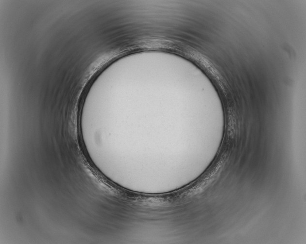 X0000111780986200908201106