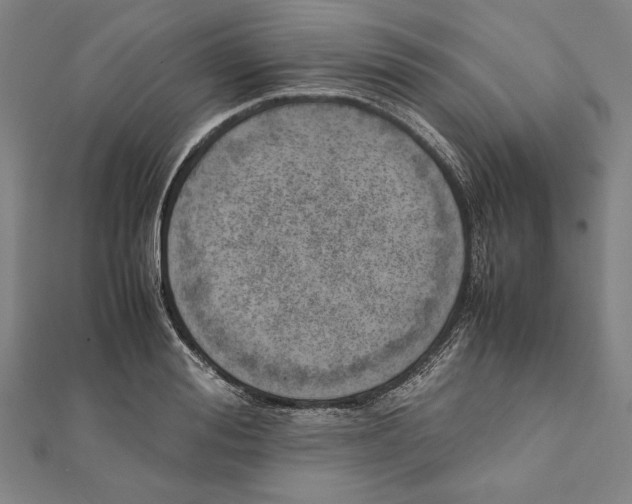 X0000111780988200908201106