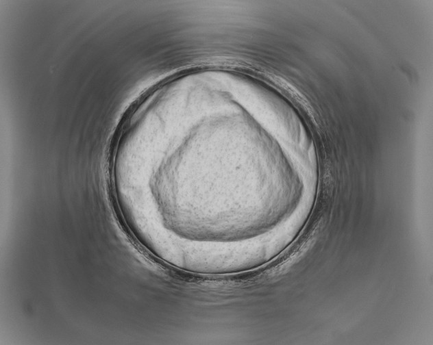 X0000111780989200908201106