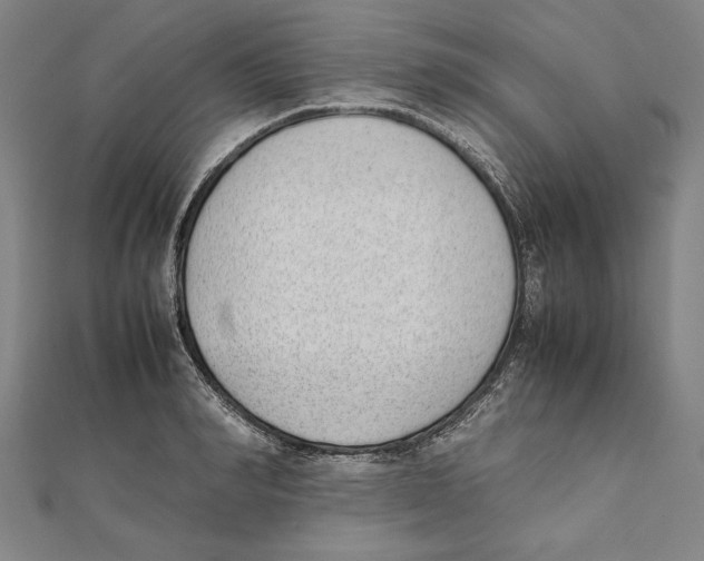 X0000111780990200908201106