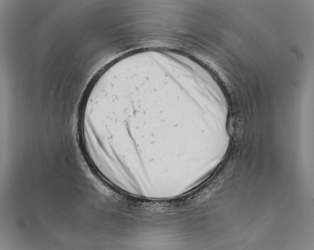 X0000111780991200908201106