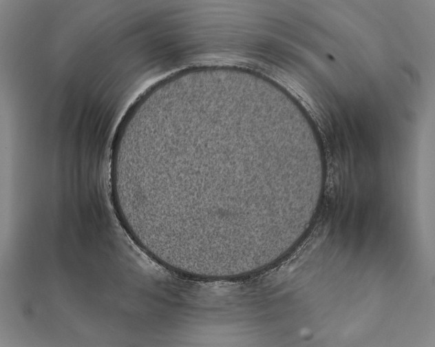 X0000111780992200908201106