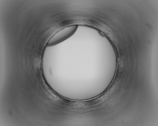 X0000111780993200908201106