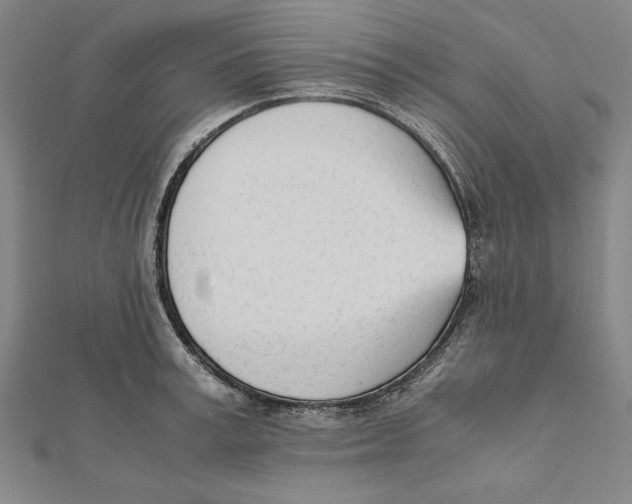 X0000111780995200908201106