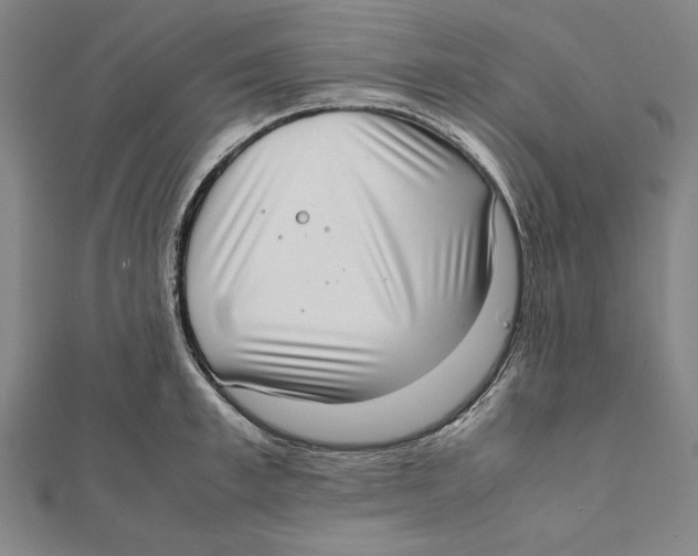 X0000111780997200908201106