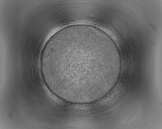 X0000111780998200908201106