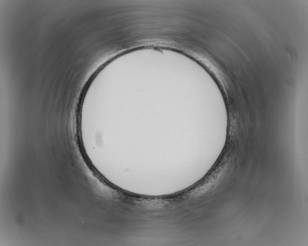 X0000111780999200908201106