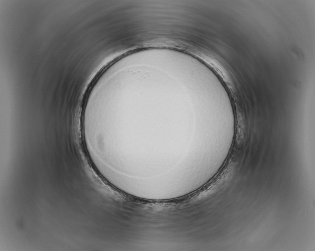 X0000111781000200908201106