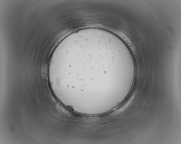 X0000111781001200908201106