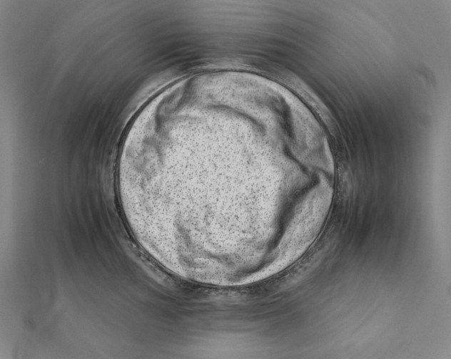 X0000111781002200908201106
