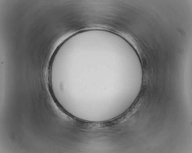 X0000111781003200908201106