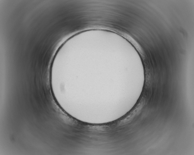 X0000111781004200908201106