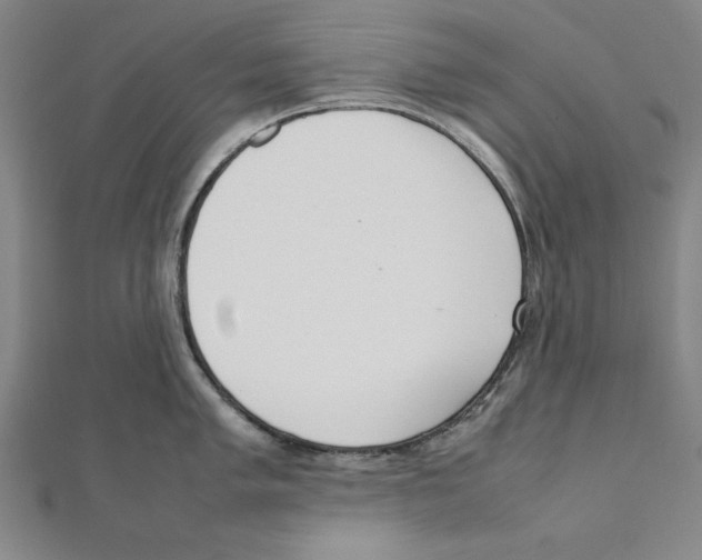 X0000111781005200908201106
