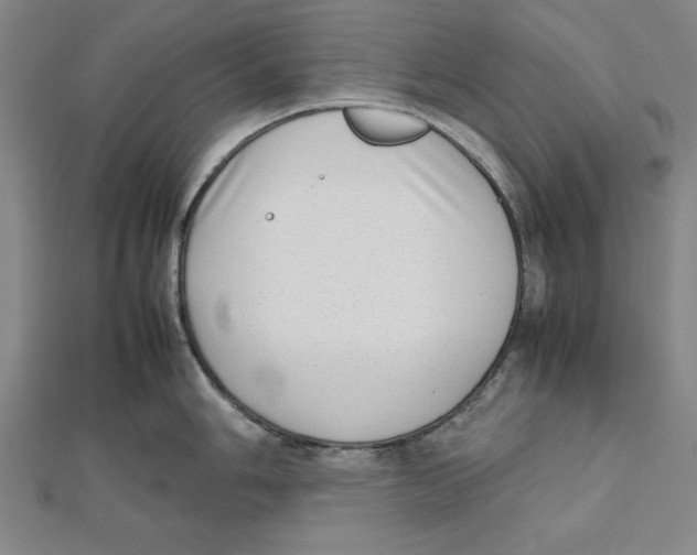 X0000111781006200908201106
