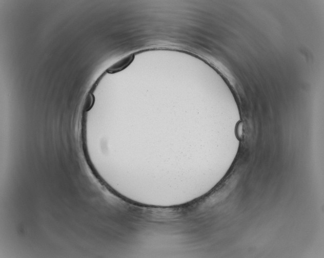 X0000111781007200908201106