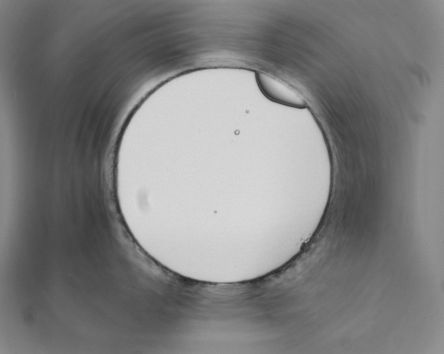 X0000111781008200908201106