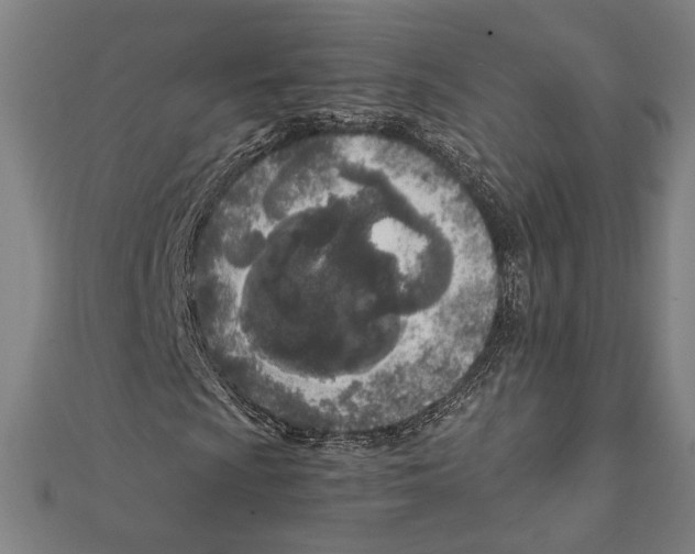 X0000111781009200908201105