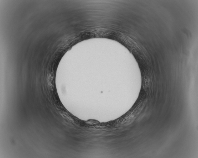 X0000111781010200908201105