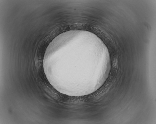 X0000111781011200908201105